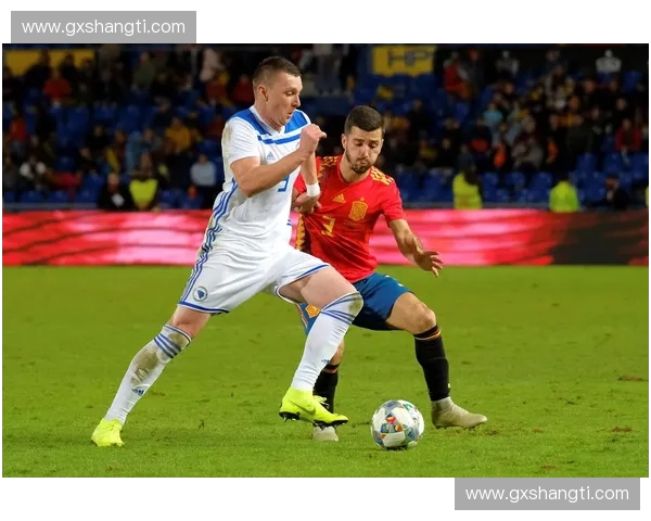 深度解读波黑足球联赛发展现状与未来竞争格局演变趋势分析全景版